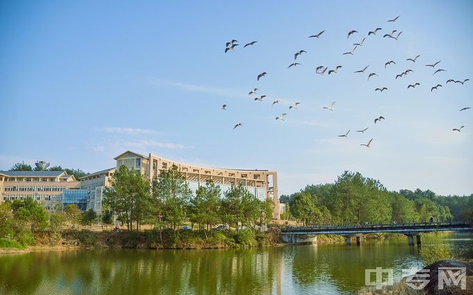 武夷学院-校门